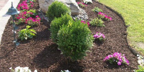Landscaping Austell GA - Green Glow Landscape Solutions