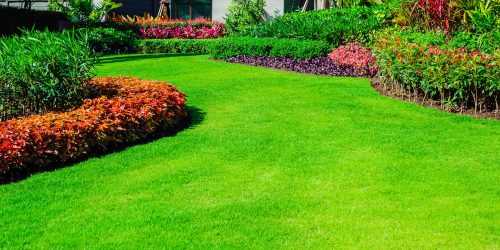 Lawn Fertilization, Lawn Care, Lawn Maintenance, Lawn Service